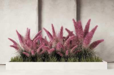 植物堆3D模型下载